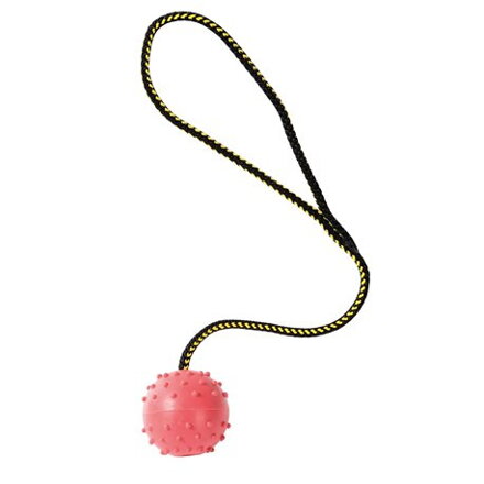 Hračka pro psa Jednoduchý míček na šňůrce s očkem 6cm